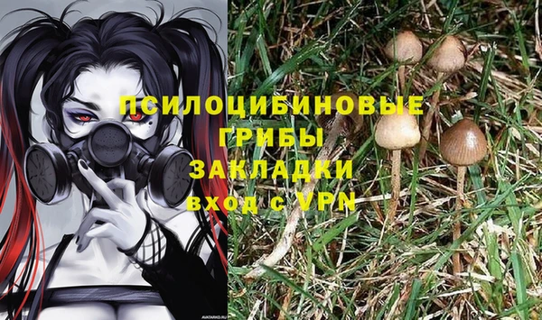 гашик Алексеевка