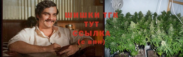 гашик Алексеевка