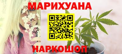 шишки Ачхой-Мартан