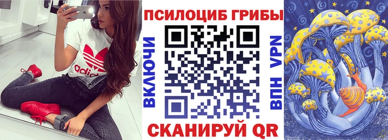 блэк спрут сайт  Краснотурьинск  Галлюциногенные грибы Magic Shrooms 