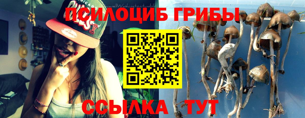 Галлюциногенные грибы Psilocybine cubensis  Вход с VPN  Краснотурьинск 